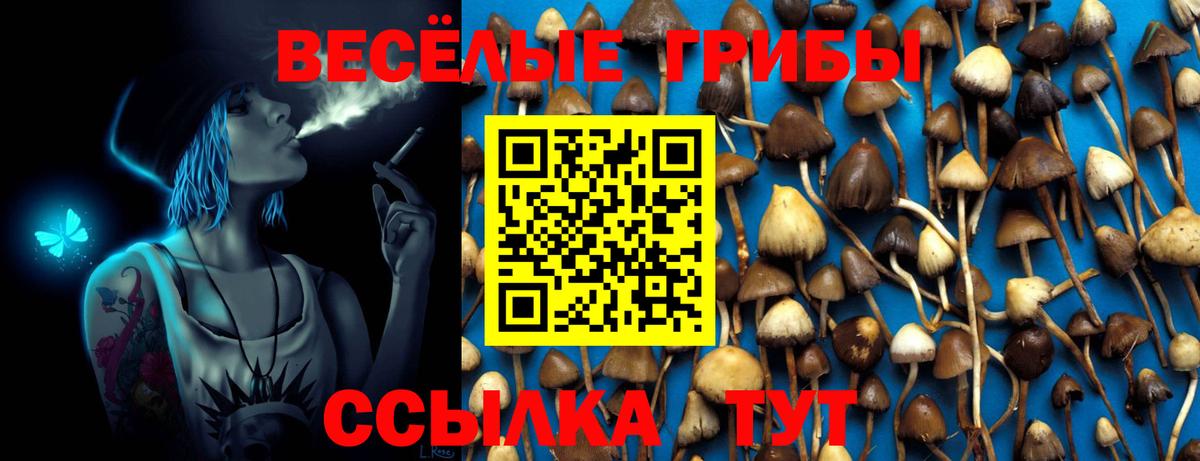 Галлюциногенные грибы Psilocybe Красноуфимск