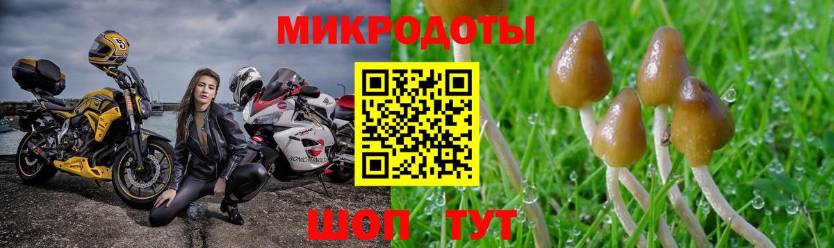 Галлюциногенные грибы Cubensis  Вход с VPN  купить наркотики сайты  Красноуфимск 